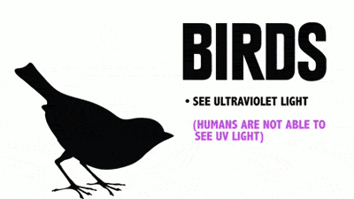 gifs_that_will_wanna_make_you_say_yeah_science_btch_07