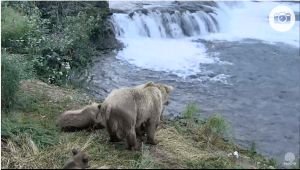 Screen Shot 2016-07-18 at 11.29.06 PM