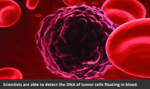 Screen Shot 2016-07-23 at 8.00.50 PM