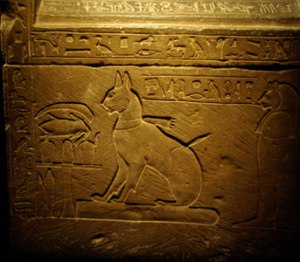 prince-thutmose-cat