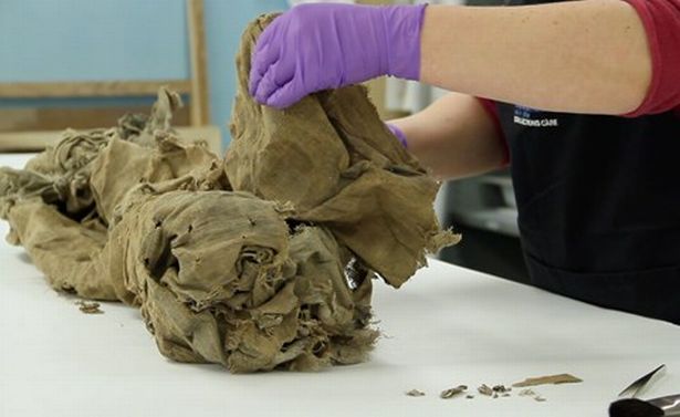 2345557ff4f74990a47f0ba9ab8f0bbb