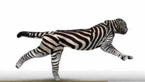 screen-shot-2016-11-12-at-11-44-39-pm