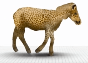 screen-shot-2016-11-12-at-11-44-52-pm