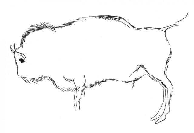 higgs-bison-is-the-missing-link-in-european-bison-ancestral-tree-498392890-1476822636