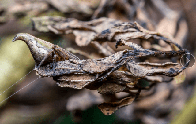 screen-shot-2016-12-18-at-6-11-36-pm