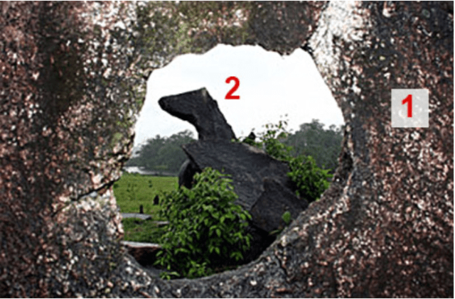 screen-shot-2016-12-21-at-10-20-07-am