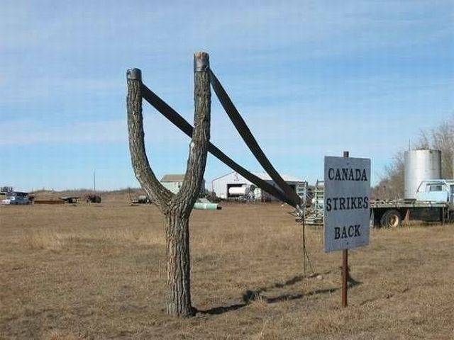 daily_picdump_1294_640_38