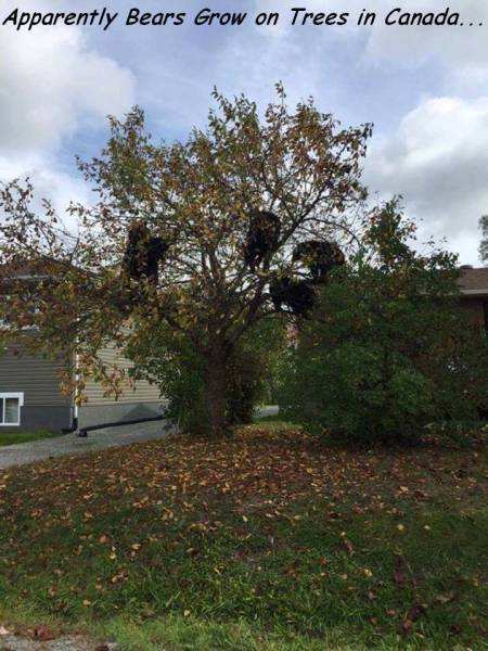 daily_picdump_1330_640_57