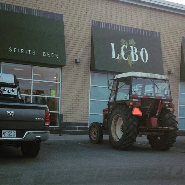 daily_picdump_2098_640_01