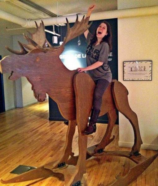 daily_picdump_2157_640_57