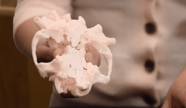 screen-shot-2017-01-24-at-12-06-28-pm